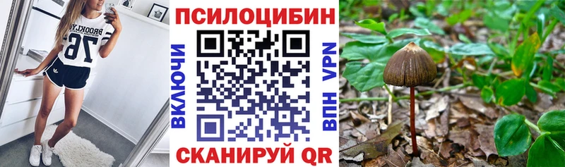 Псилоцибиновые грибы Magic Shrooms  ОМГ ОМГ вход  Калач  где можно купить наркотик 